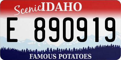 ID license plate E890919