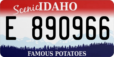 ID license plate E890966