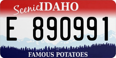 ID license plate E890991