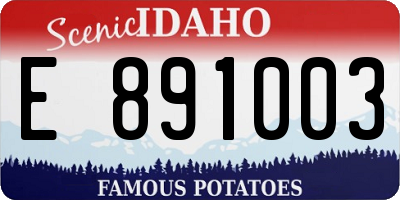 ID license plate E891003