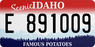 ID license plate E891009
