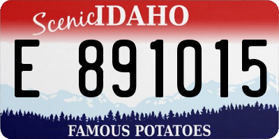 ID license plate E891015