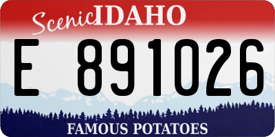 ID license plate E891026