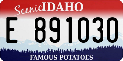 ID license plate E891030