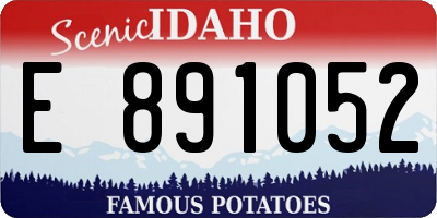 ID license plate E891052