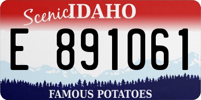 ID license plate E891061