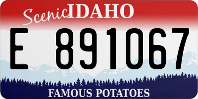 ID license plate E891067
