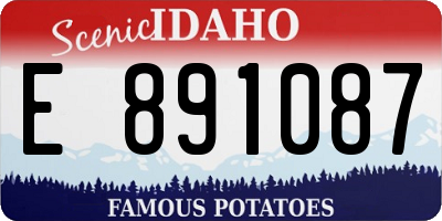 ID license plate E891087