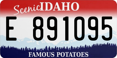 ID license plate E891095