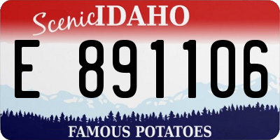 ID license plate E891106