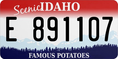 ID license plate E891107