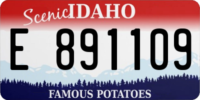 ID license plate E891109