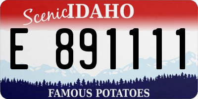 ID license plate E891111