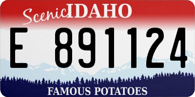 ID license plate E891124