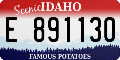 ID license plate E891130