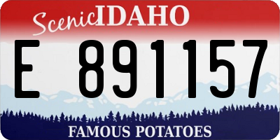 ID license plate E891157