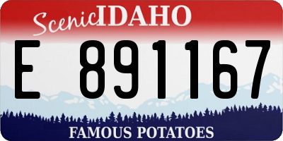 ID license plate E891167