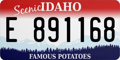ID license plate E891168