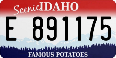 ID license plate E891175