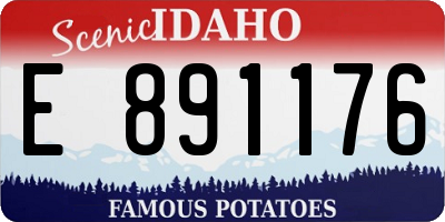 ID license plate E891176