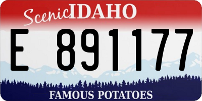 ID license plate E891177