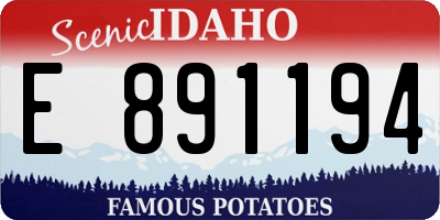 ID license plate E891194