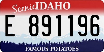ID license plate E891196