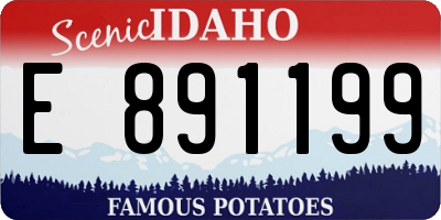 ID license plate E891199