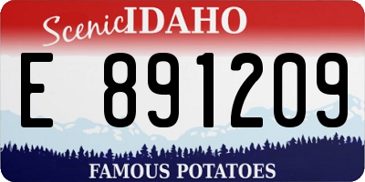ID license plate E891209