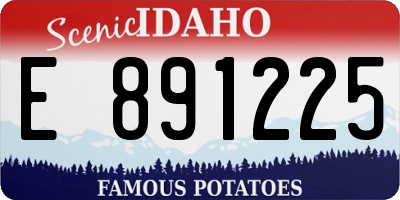 ID license plate E891225