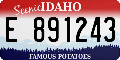 ID license plate E891243