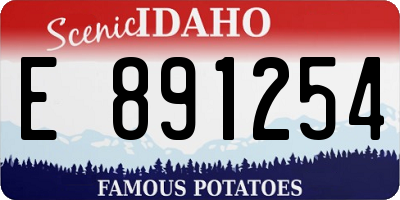 ID license plate E891254