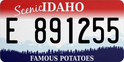 ID license plate E891255