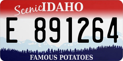 ID license plate E891264