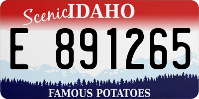 ID license plate E891265