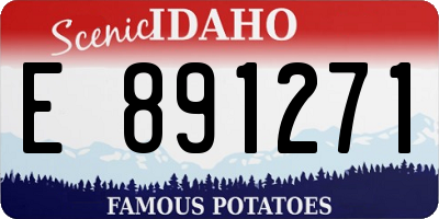 ID license plate E891271