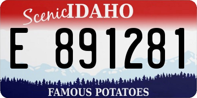 ID license plate E891281