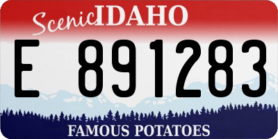 ID license plate E891283