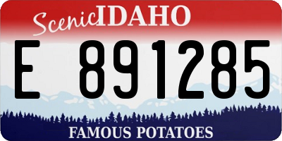 ID license plate E891285