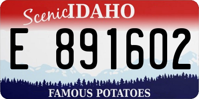 ID license plate E891602