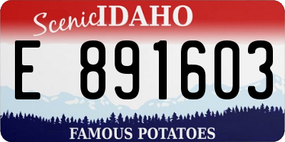ID license plate E891603