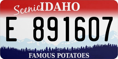 ID license plate E891607