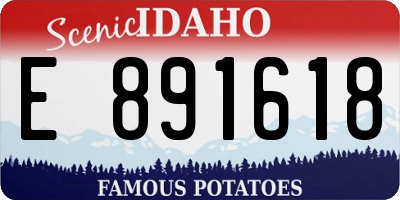 ID license plate E891618