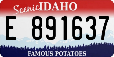 ID license plate E891637