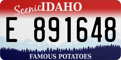 ID license plate E891648
