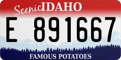 ID license plate E891667