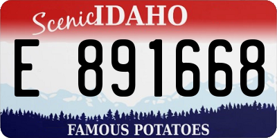 ID license plate E891668