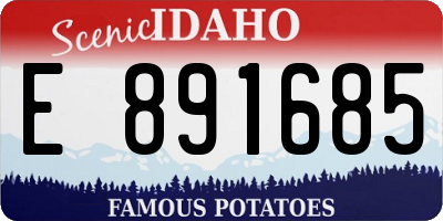 ID license plate E891685
