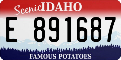 ID license plate E891687
