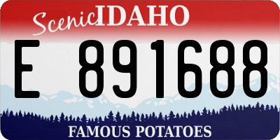 ID license plate E891688